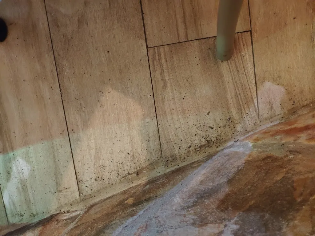 Sara_Restaurante Almeda_Torremejía_review