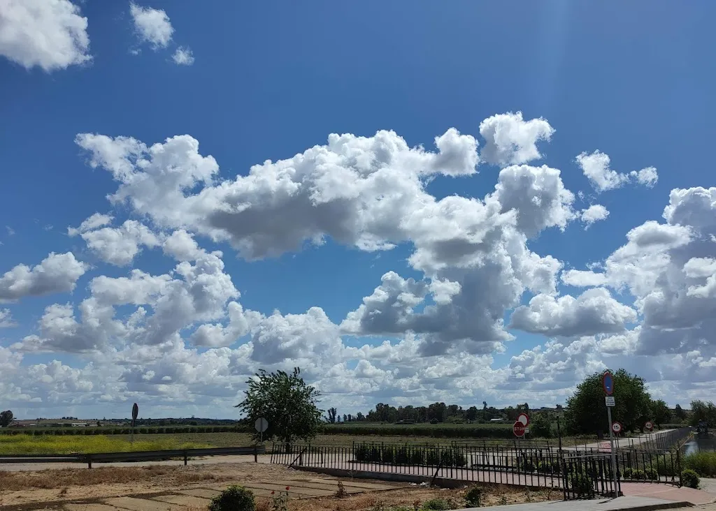 Bar Viñero (El Fraski)_Talavera La Real_slider_image_1