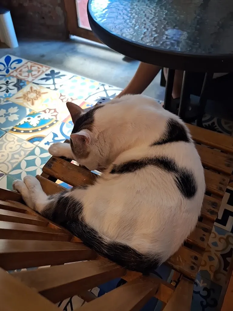 29thizzle_Munchies Brunch_Santa Marta_review