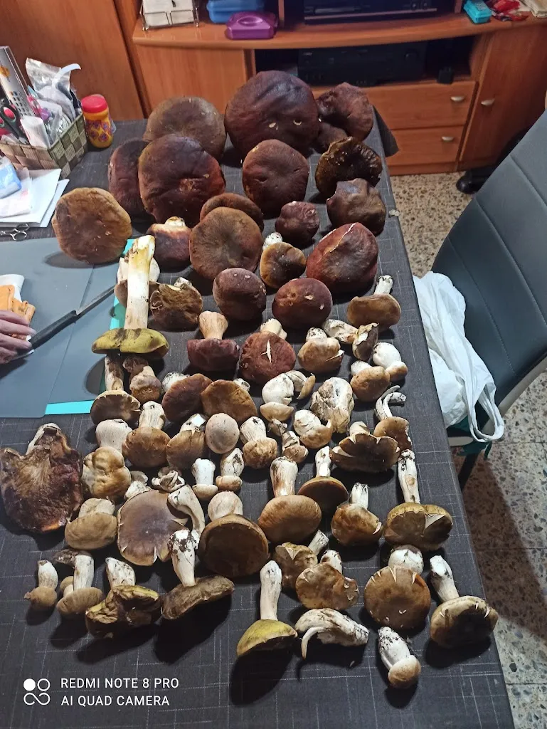 Menu_JC café bar_Villalba de los Barros_image_3