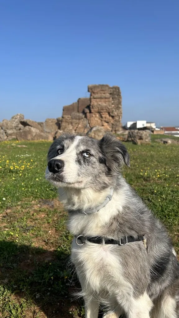 Restos del Castillo de Villanueva del Fresno_Villanueva del Fresno_slider_image_2