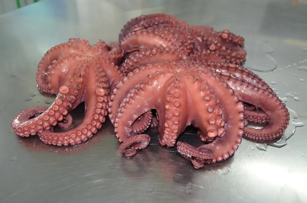 Menu_Mariscos El Gary_Villafranca de los Barros_image_5