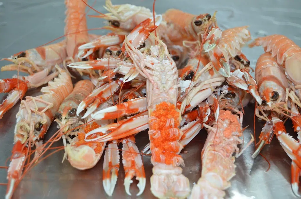 Menu_Mariscos El Gary_Villafranca de los Barros_image_6