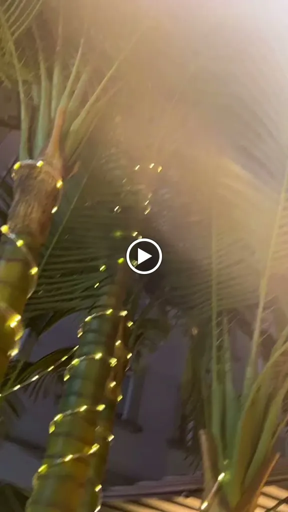 Malavida Coffee Food & Drink_Melide_slider_image_2