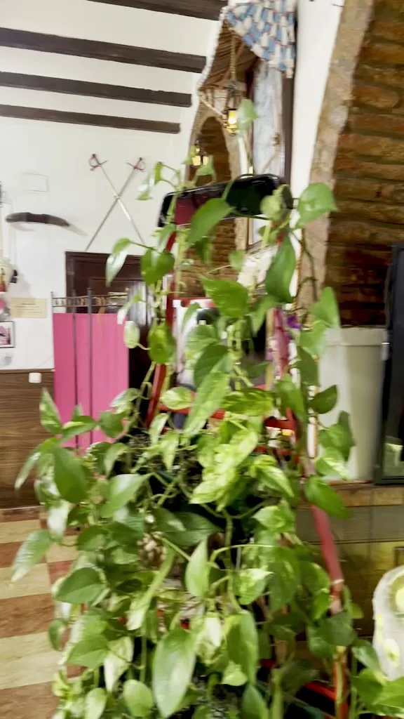 Mesón taurino_Zafra_slider_image_2