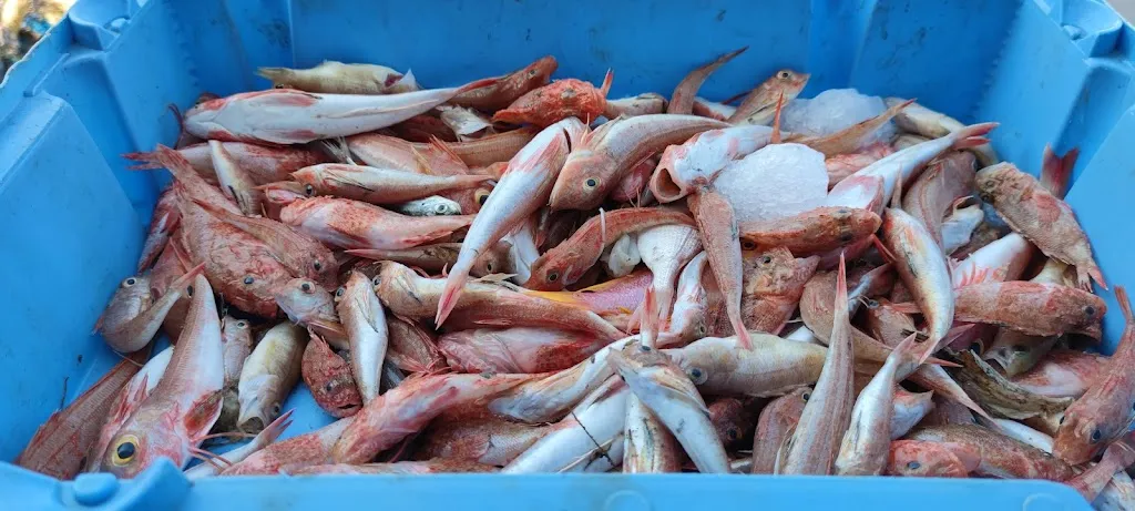 Menu_Els Pescadors - La Llotja_Arenys de Mar_image_9