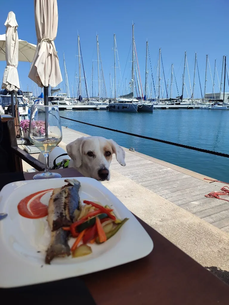 Daniel Official_Restaurant Club Nàutic Arenys de Mar_Arenys de Mar_recensione