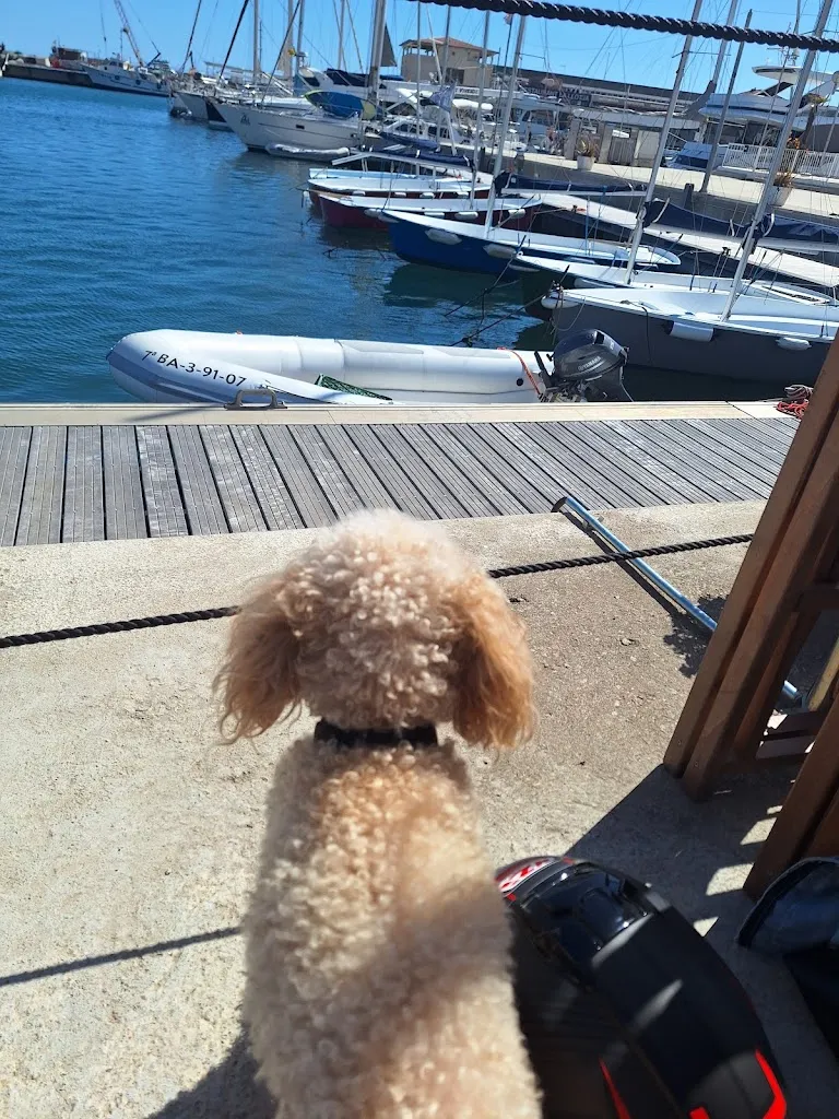 marta camps_Restaurant Club Nàutic Arenys de Mar_Arenys de Mar_recensione