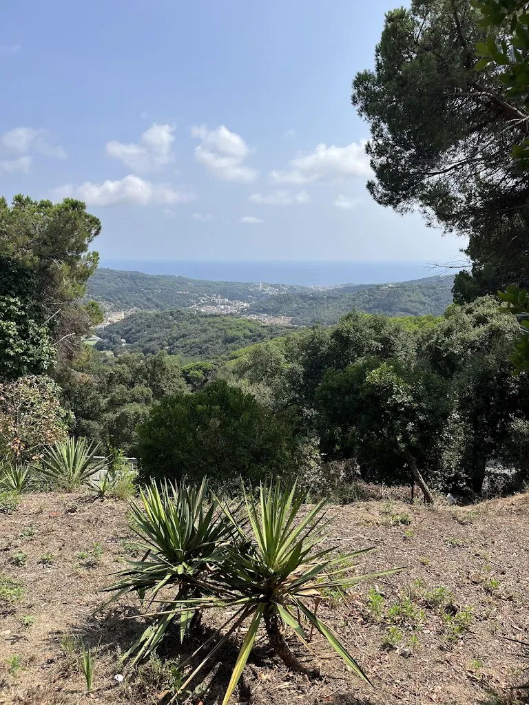 Maria Borisenko_Restaurant Collsacreu_Arenys de Munt_review