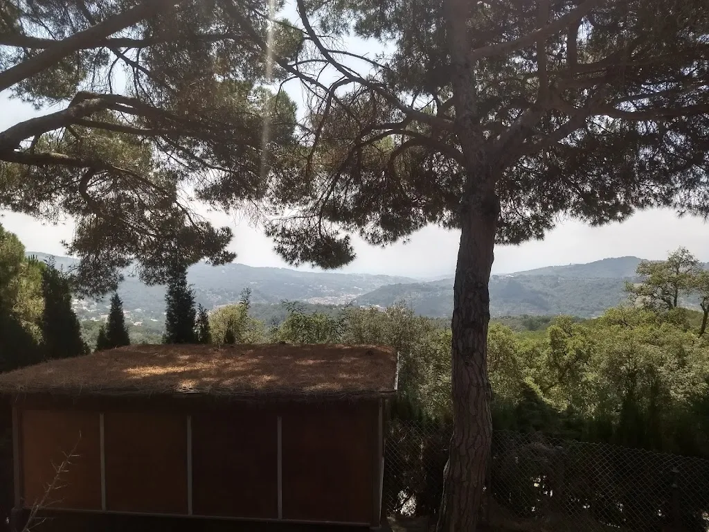 Alex Goldhoorn_Restaurant Collsacreu_Arenys de Munt_review