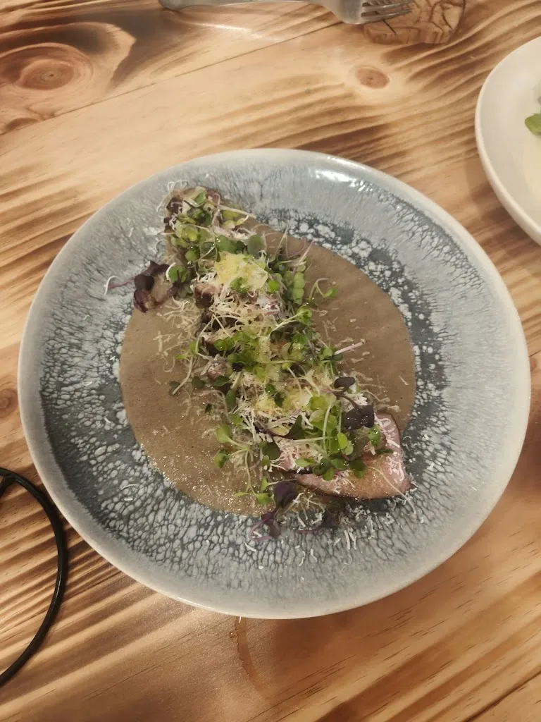 Anastasia_D'Obra_Melide_recensione