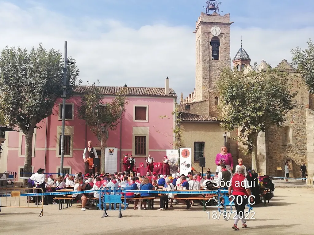 La D.O. Alella_Alella_slider_image_3