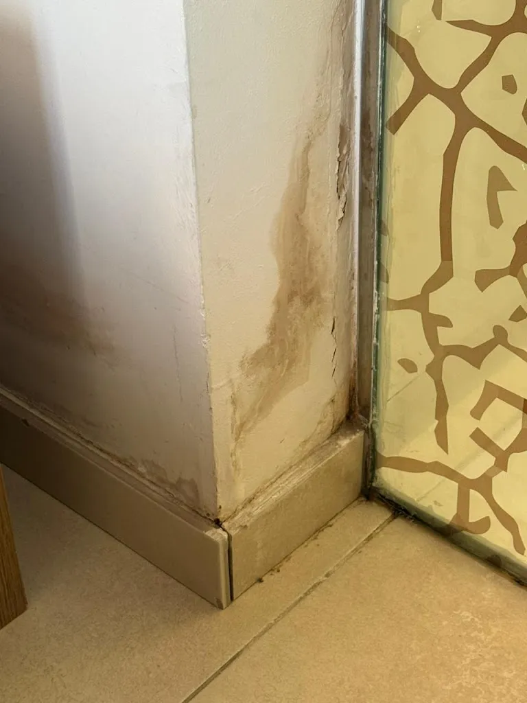 Γεώργιος Μπίκος_Hotel Arrey Alella_Alella_review