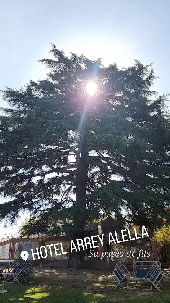 Hotel Arrey Alella_Alella_slider_image_2