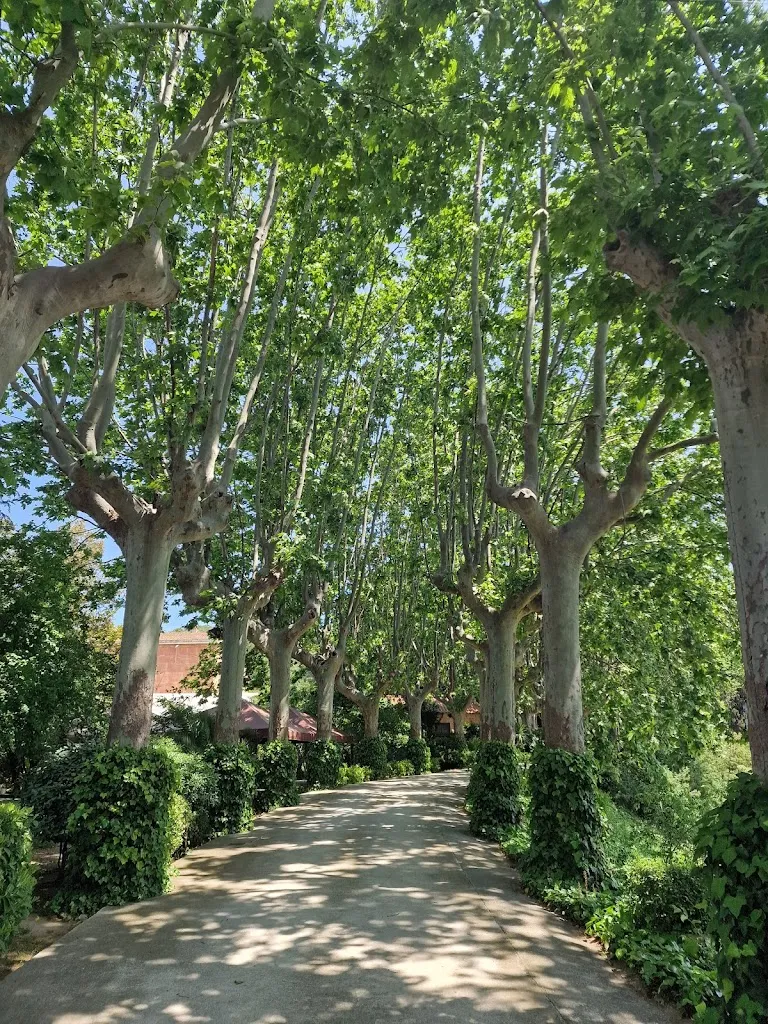 Gustav_Masia Can Cabús_Alella_recensione