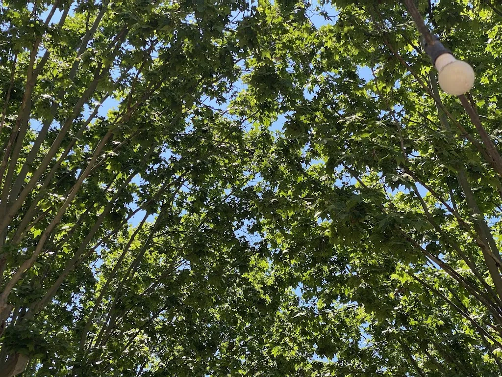 Alejandro Perez_Masia Can Cabús_Alella_recensione