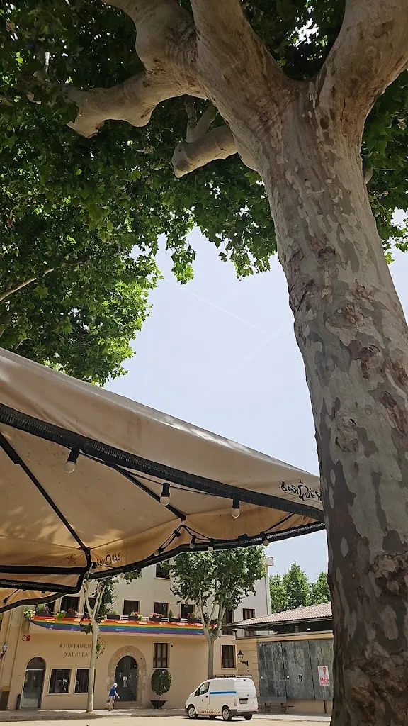 Gonzalo Martin_Cal Barquer_Alella_review