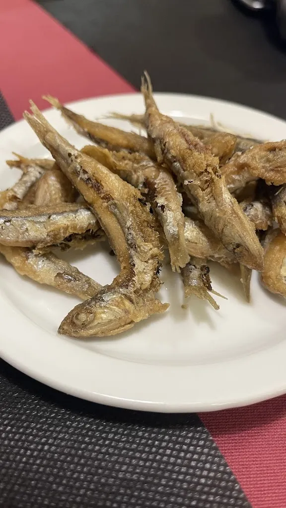 Josep De Barberà i Johera_Cal Fuster_Bagà_review