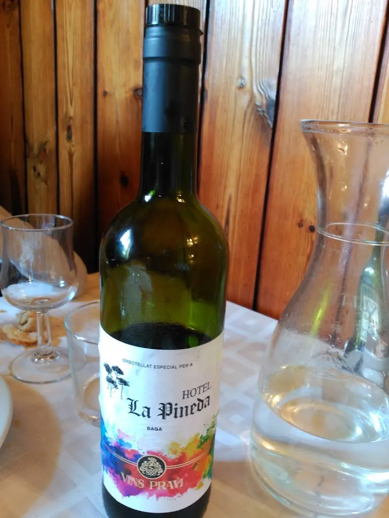 Hotel Restaurant La Pineda_Bagà_slider_image_2