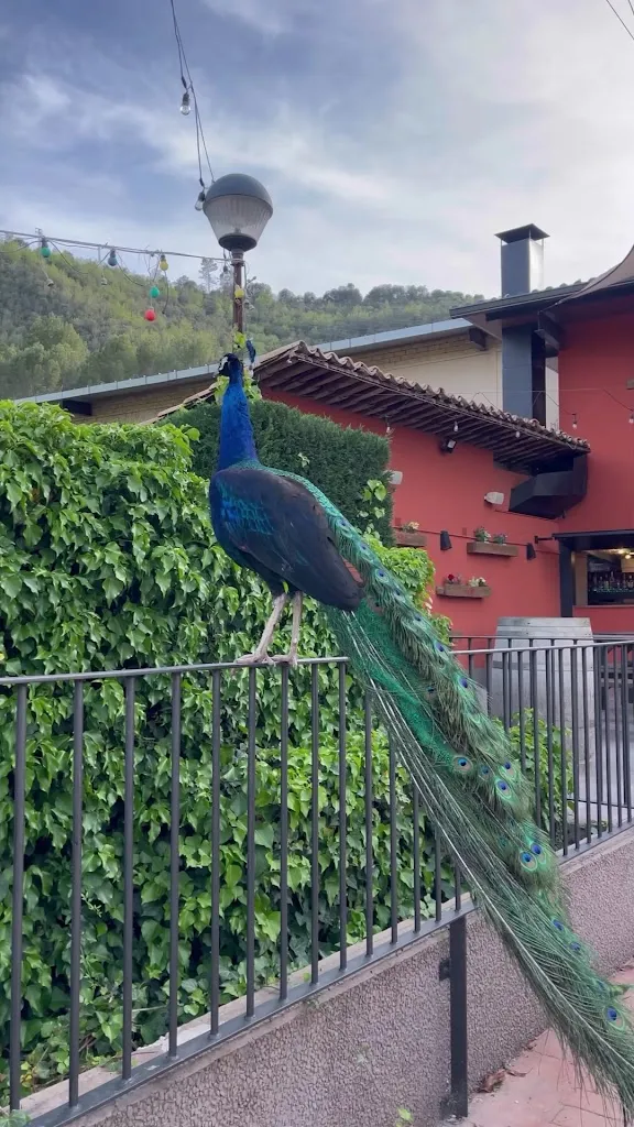 L'Era_Balsareny_slider_image_2