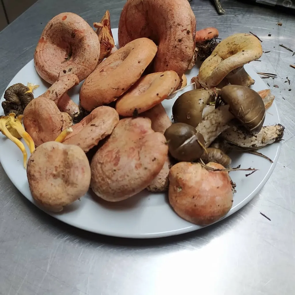 Menu_Bar Casino_Balsareny_image_8