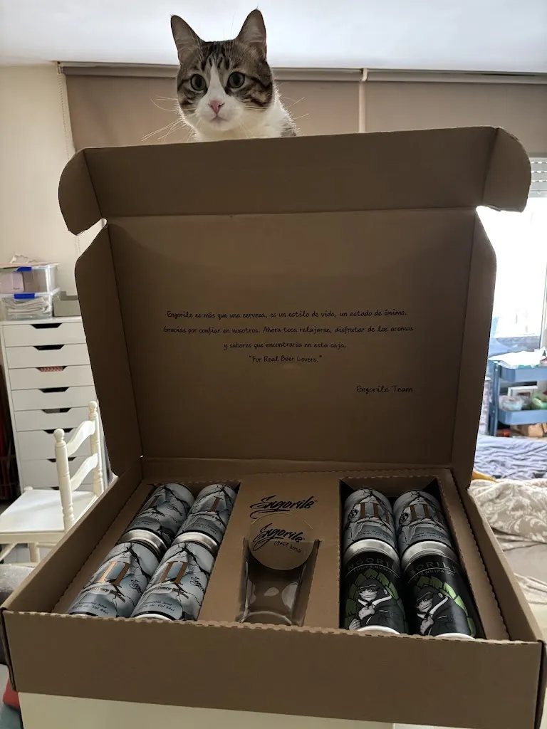 juan antonio gomez_Engorile_Balenyà_review