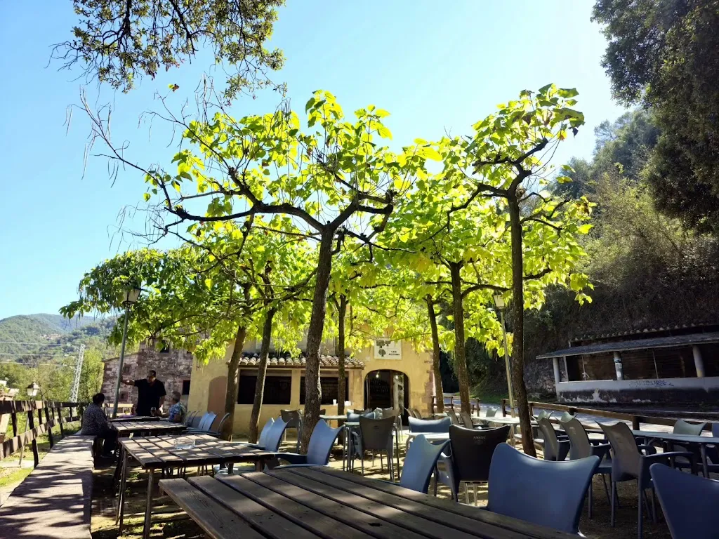 BRASERIA LES ALZINES DAVENCÓ_Balenyà_slider_image_3