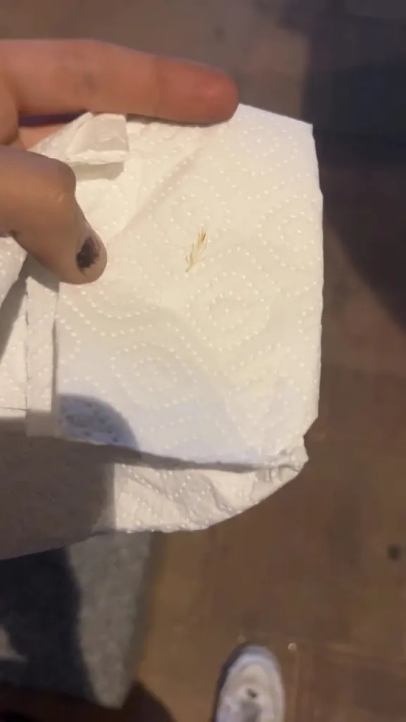 Didac Díaz avila_Rico Doner Kebab Pizzeria_Begues_review