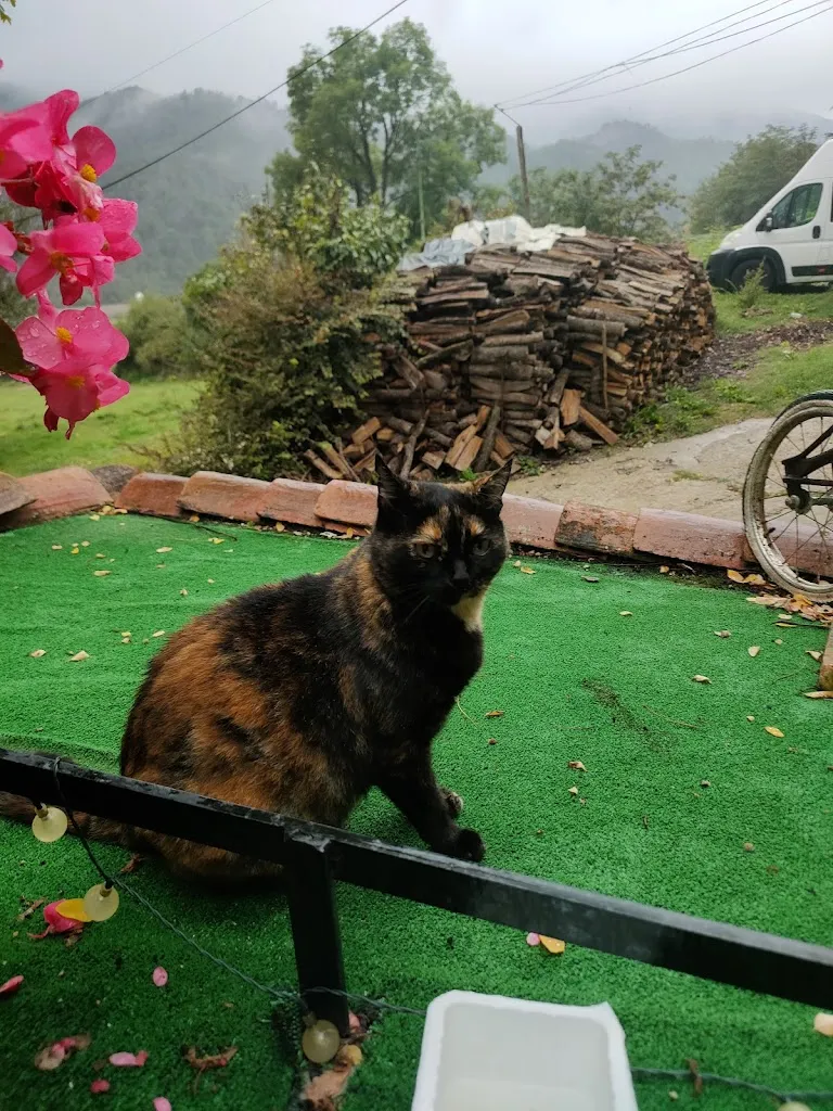 Ferran Prat Vima_Restaurant Baix Pirineu_Borredà_review