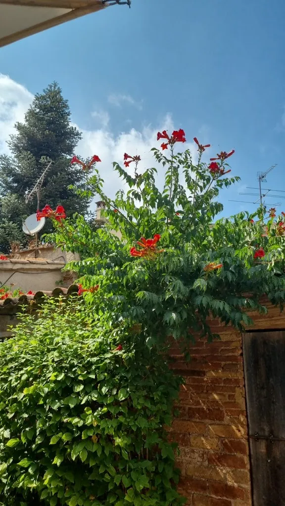 Peter Thustrup_Restaurant Sant Jeroni_Bruc El_review