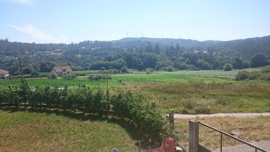 Patrick_restaurante O ARRANCA_Negreira_review