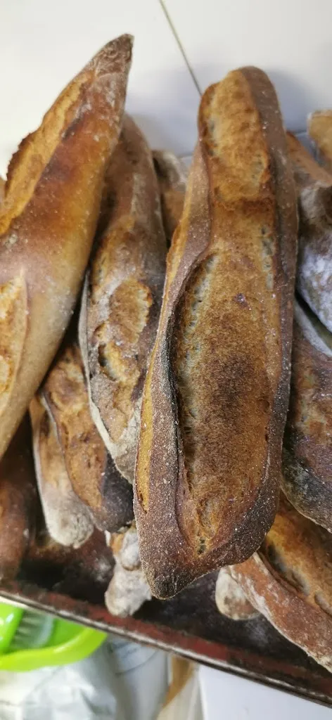 Menu_La Notta Braseria Pizzeria_Berga_immagine_9