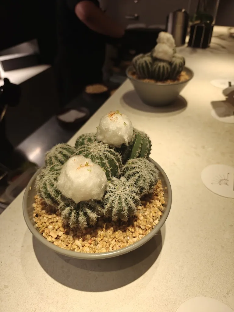 Anders Lundsten_Angle Barcelona_Barcelona_review