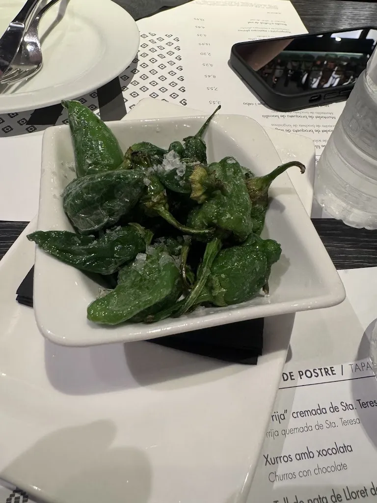 Sophie Wang_Vinitus_Barcelona_review