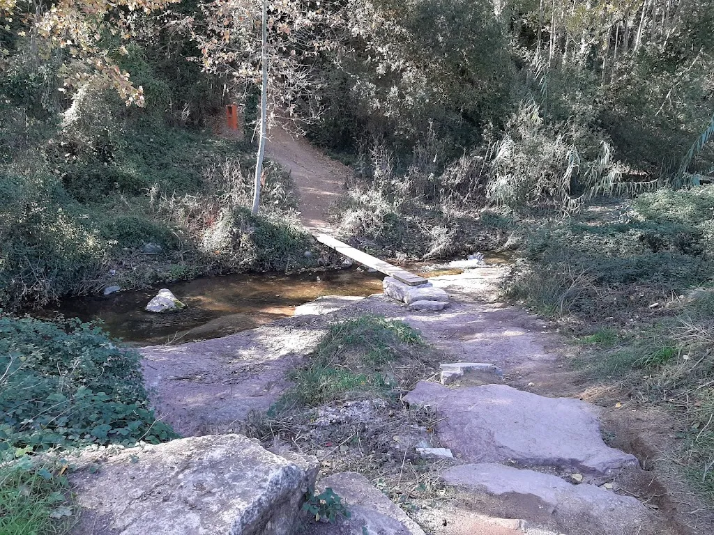 Margarita Rotllan_La Parada_Bigues i Riells_review