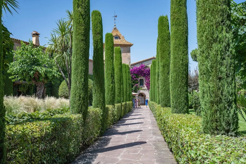 Dasha Elgart_Can Ribas de Montbui_Bigues i Riells_recensione