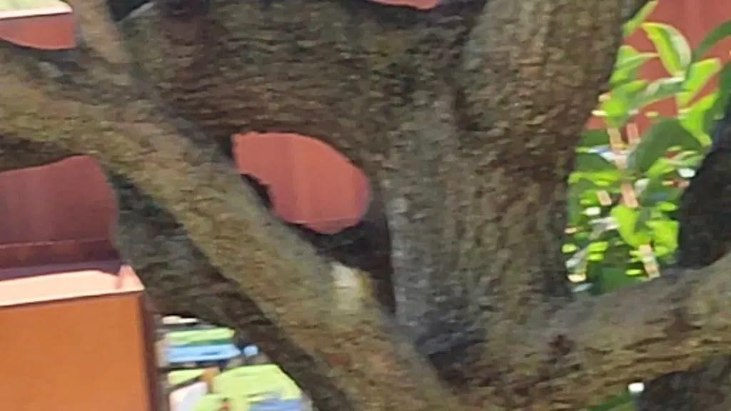 Sergi_23_Can Ribas_Bigues i Riells_review