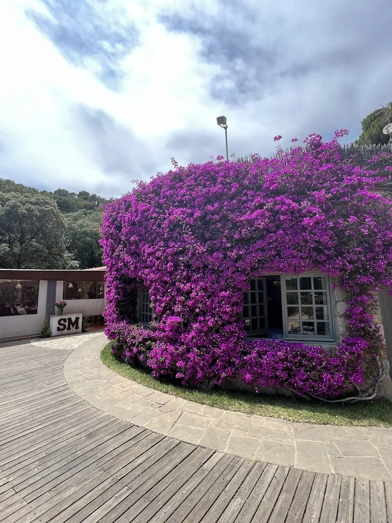 Katie Kolodinski_Restaurant Santa Marta_Cabrera dAnoia_review