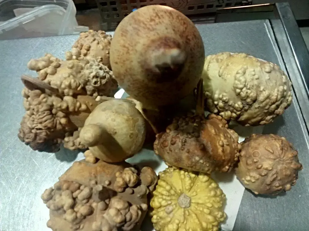 Menu_Bar Canet_Calaf_image_5