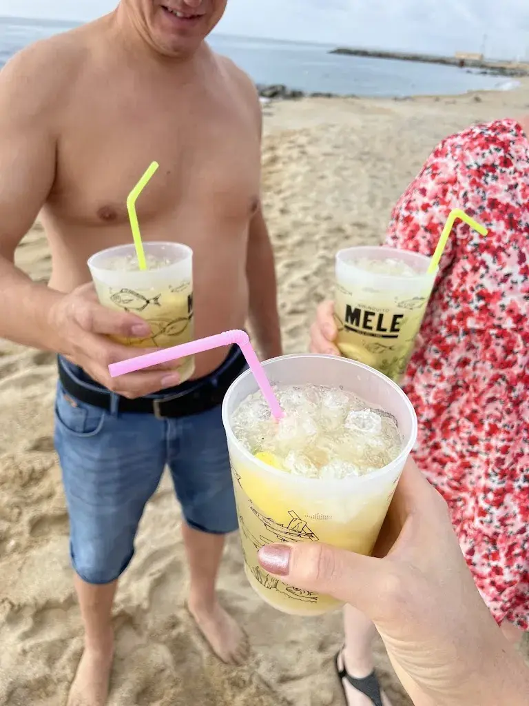 Viktoria Vlasenko_Guingueta Melé_Caldes dEstrac_review