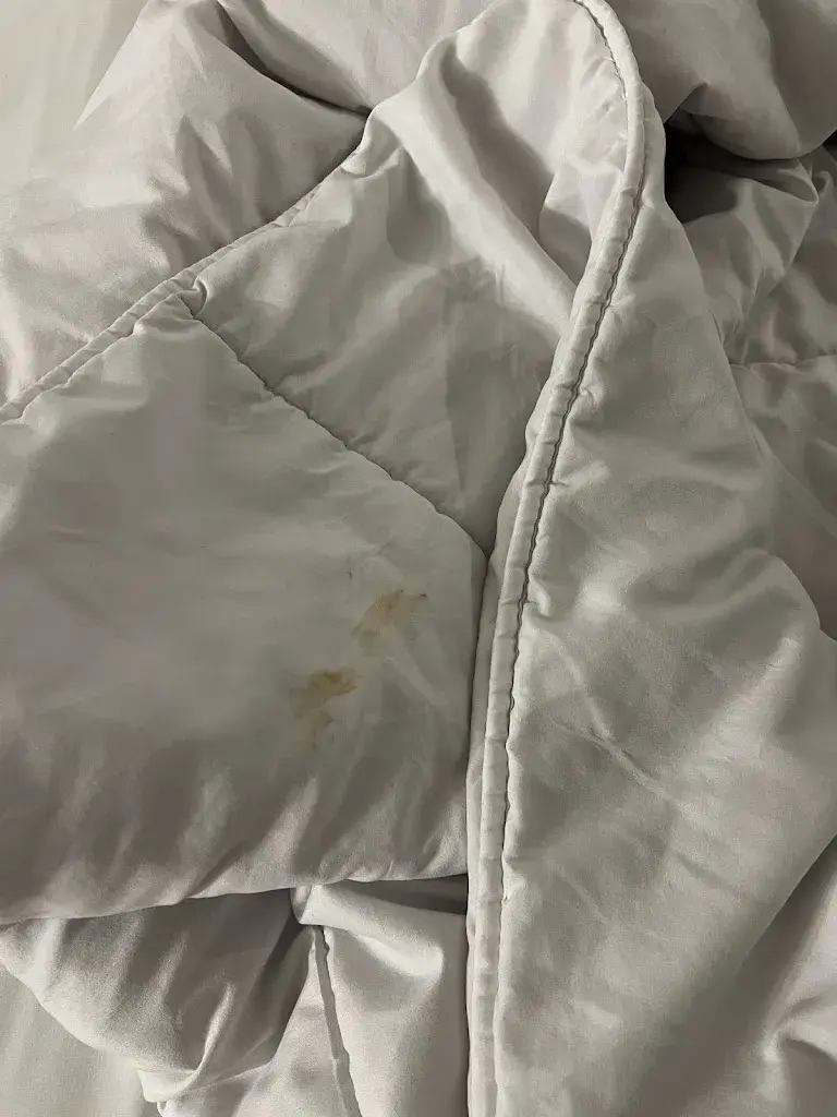 Bahri Gençsoy_DYH DYNAMIC HOTELS_Caldes dEstrac_review