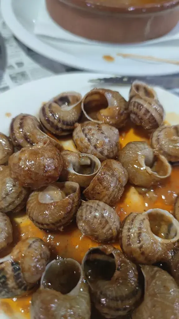 Slavica Stefanovic_Can Xena_Calella_review