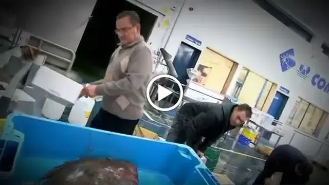 EL HOGAR GALLEGO_Calella_slider_image_2