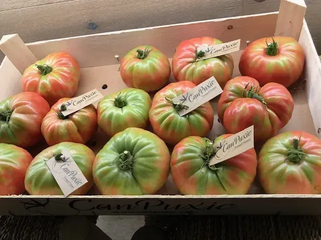 Hedy_Verdaguer Vilassar_Cabrils_review