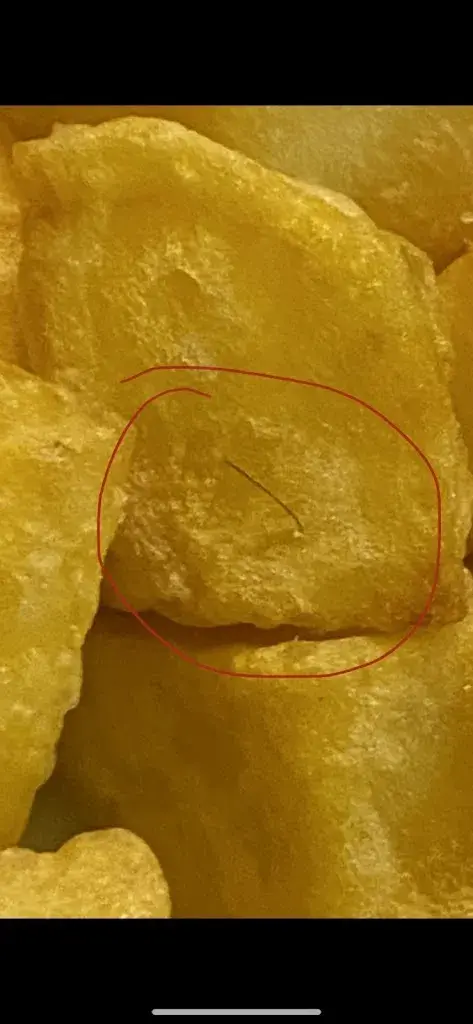 Andrea De Angelis_El Divino_Caldes de Montbui_review