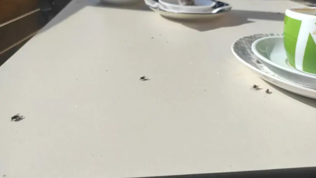 August Lorente_El Terròs_Casserres_review