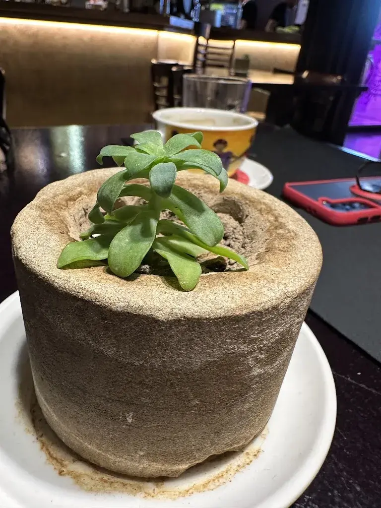 Mary Feiz_La Volta del Rector_Cardona_review