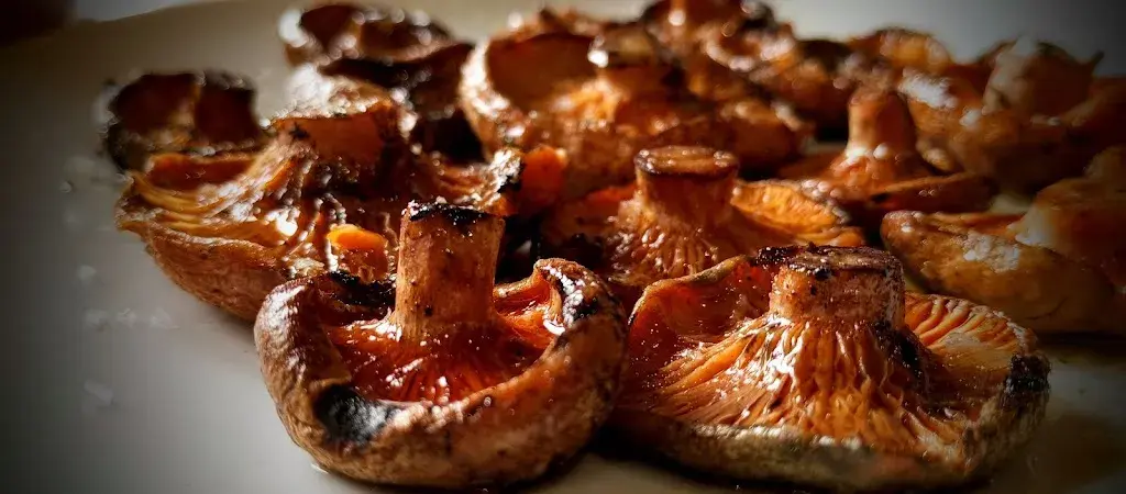 Josep Serrado Ubach_Braseria El Caliu_Castellar de nHug_review