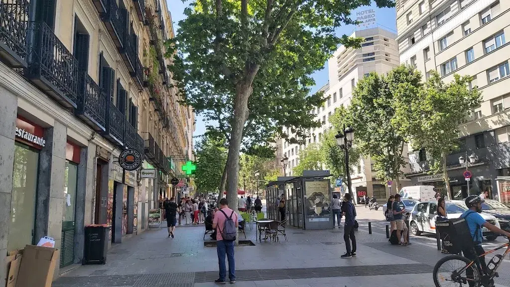 Plaza del carmen madrid restaurant in Carme