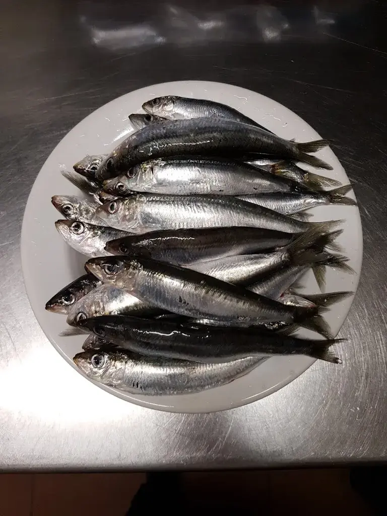 Menu_El Xup,Bar-Restaurant_Castellcir_image_6